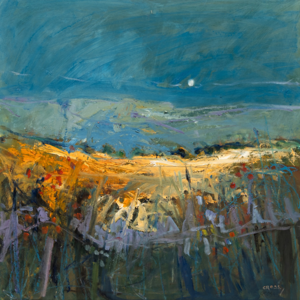 Andy Cross Fading Light