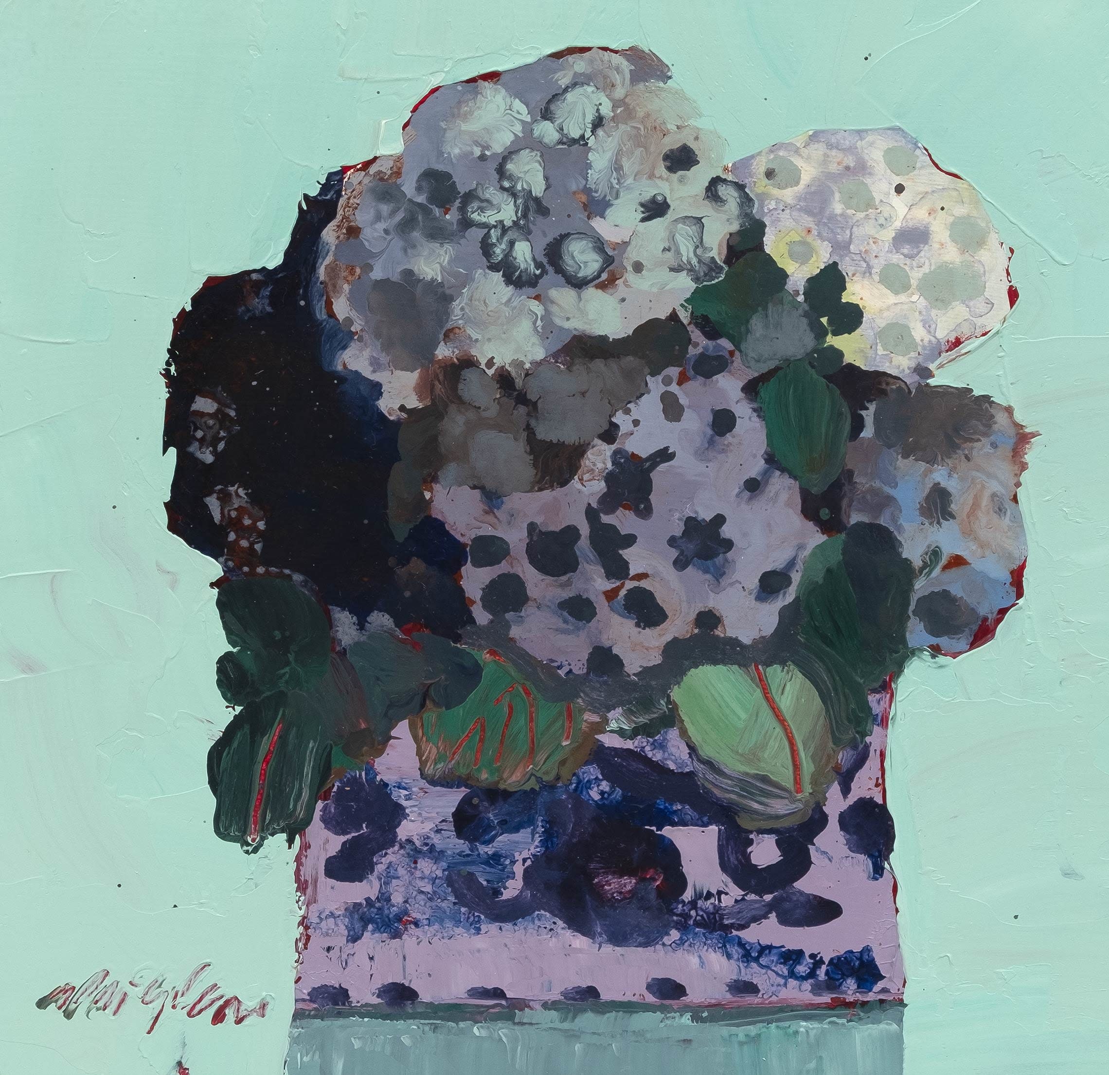 Hydrangea