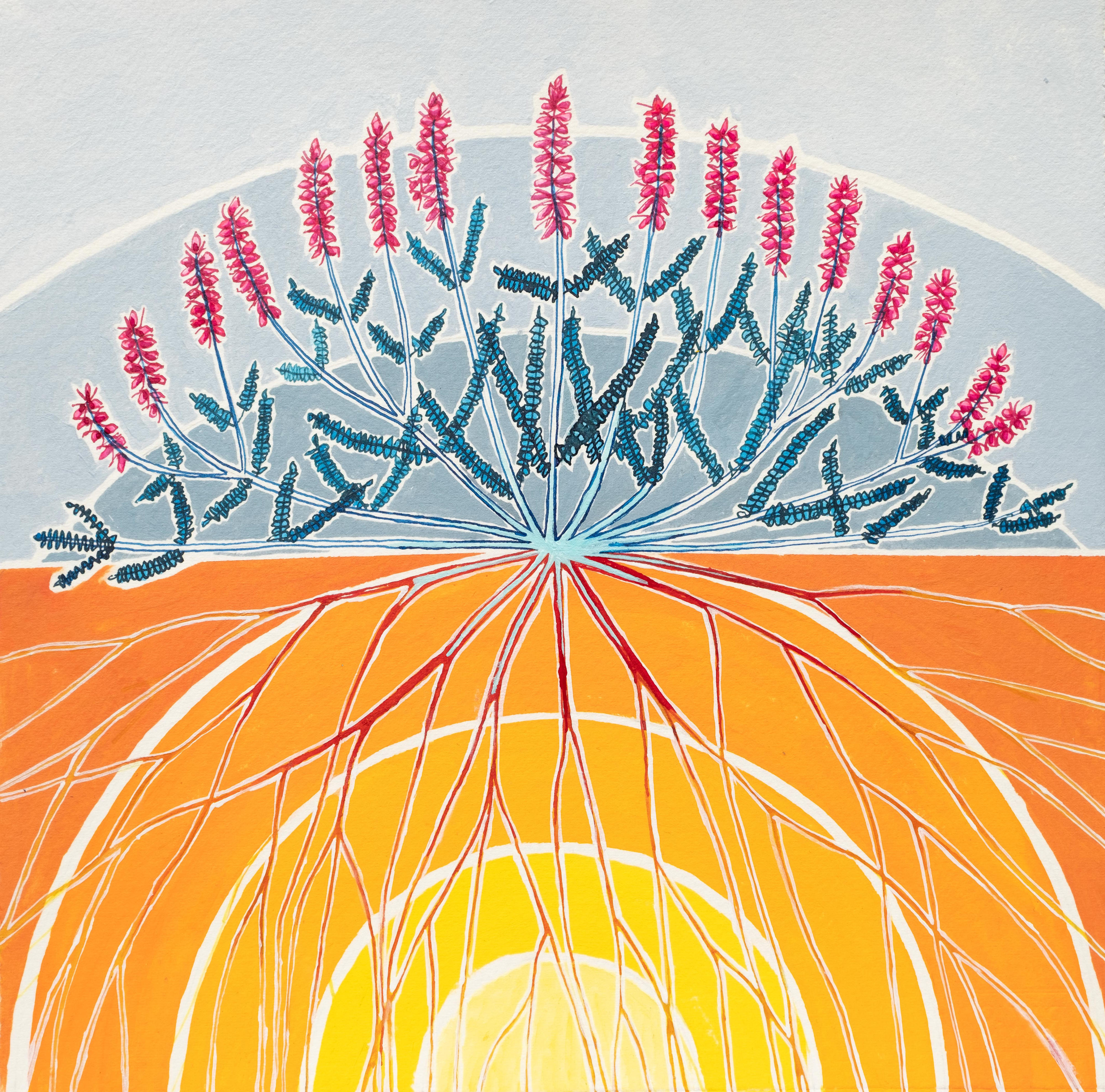 Calluna Vulgaris (Heather), Ardnamurchan