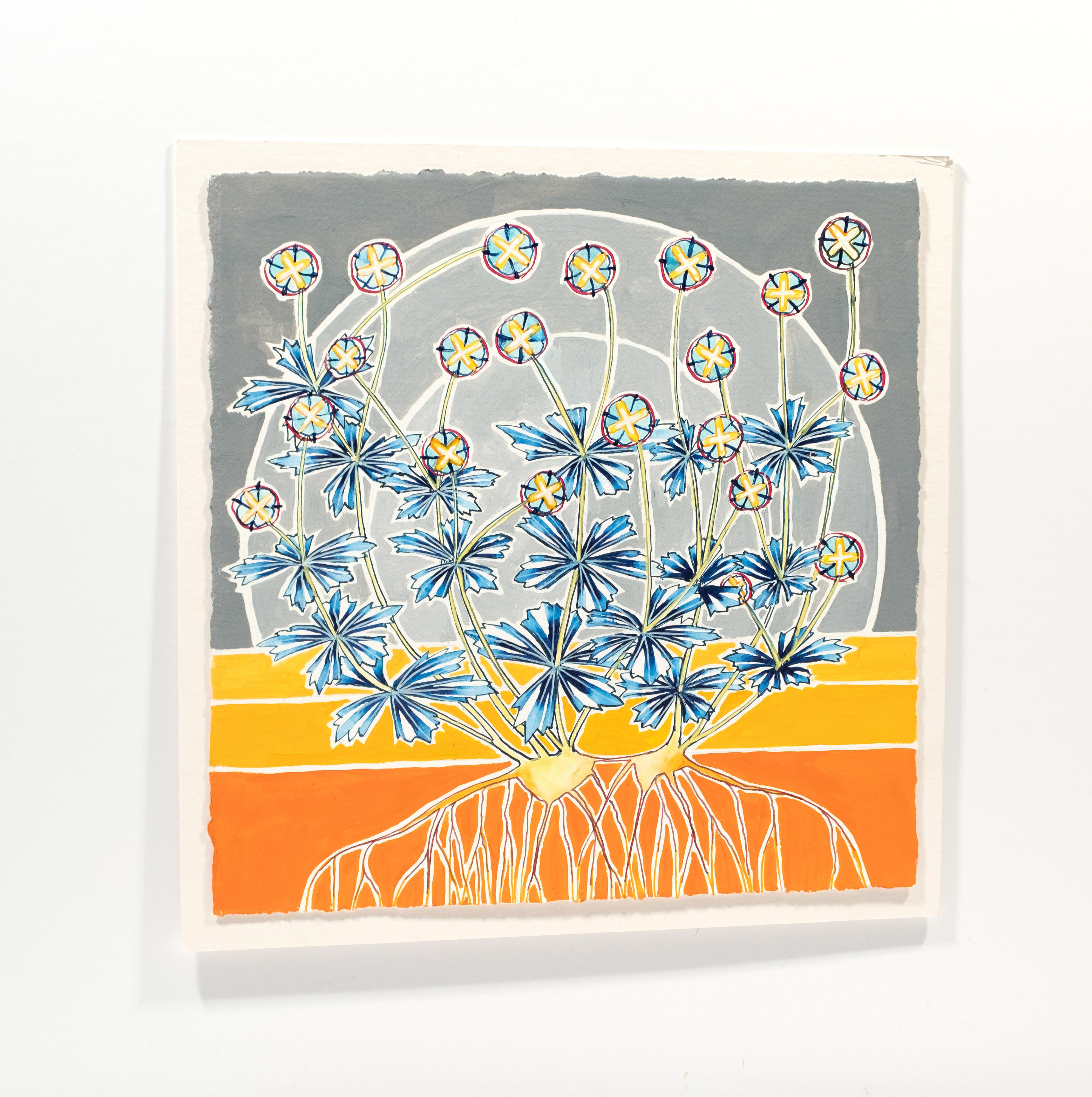 Potentilla Erecta (Tormentil), Ardnamurchan