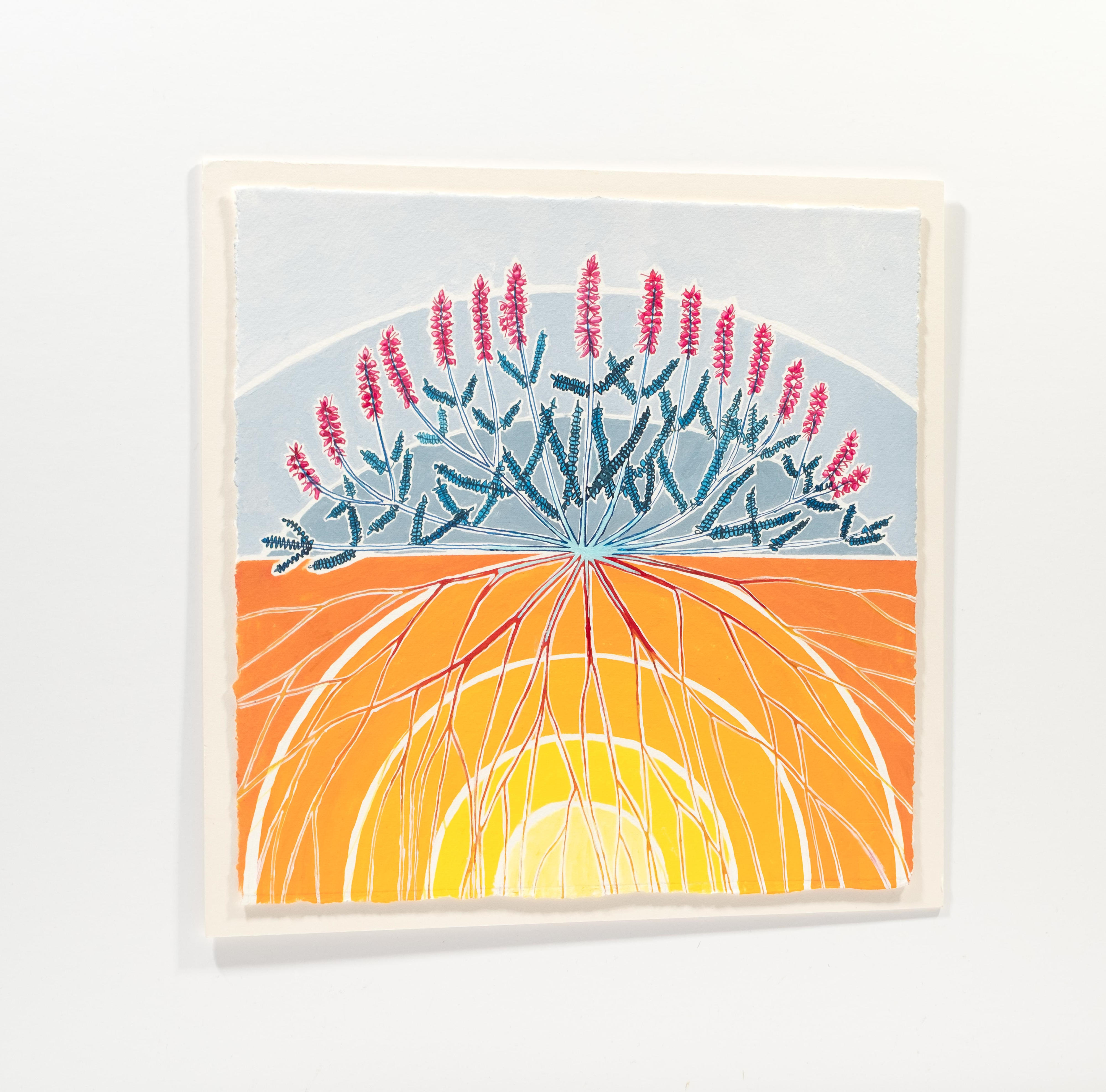 Calluna Vulgaris (Heather), Ardnamurchan