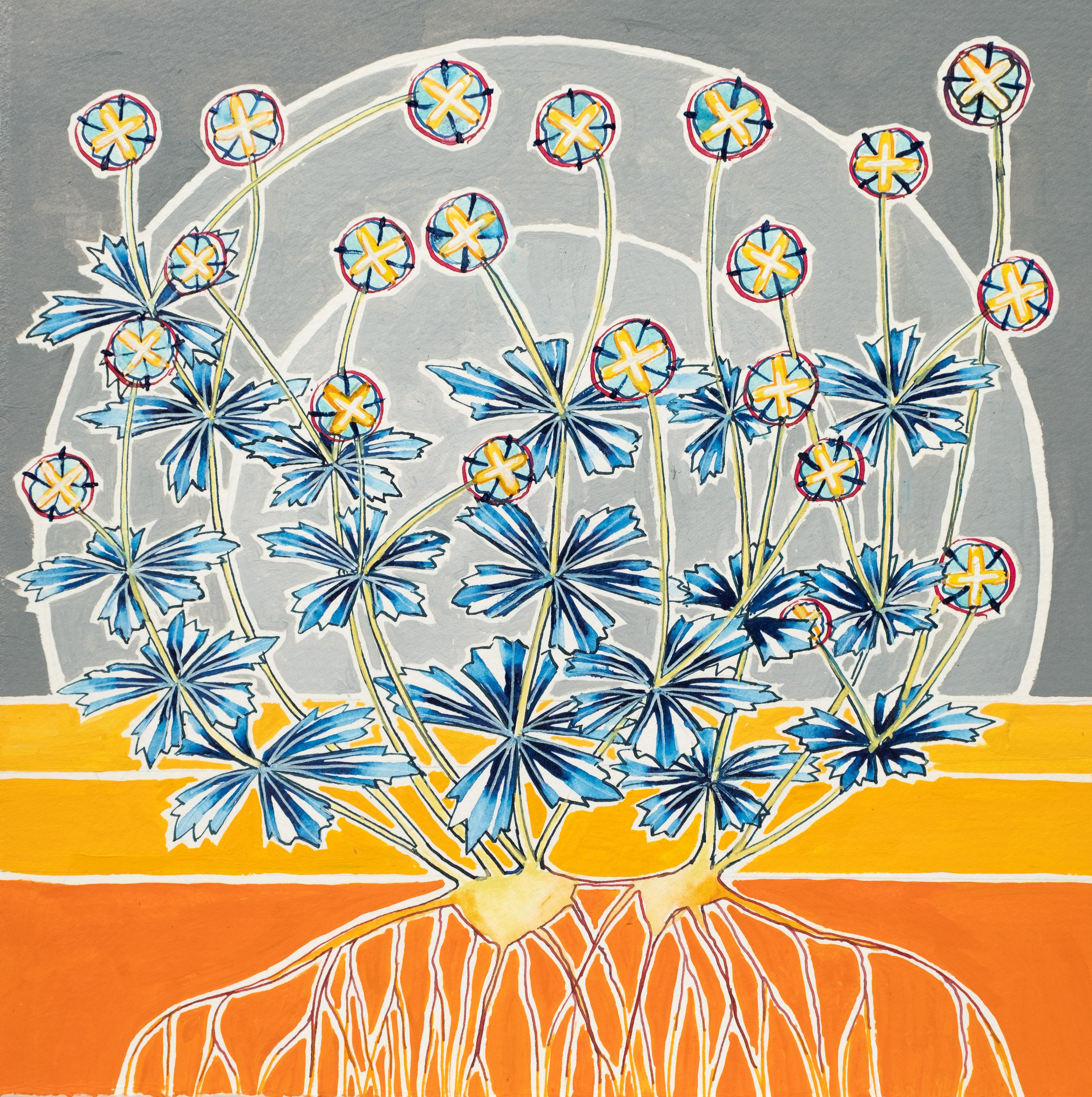 Potentilla Erecta (Tormentil), Ardnamurchan