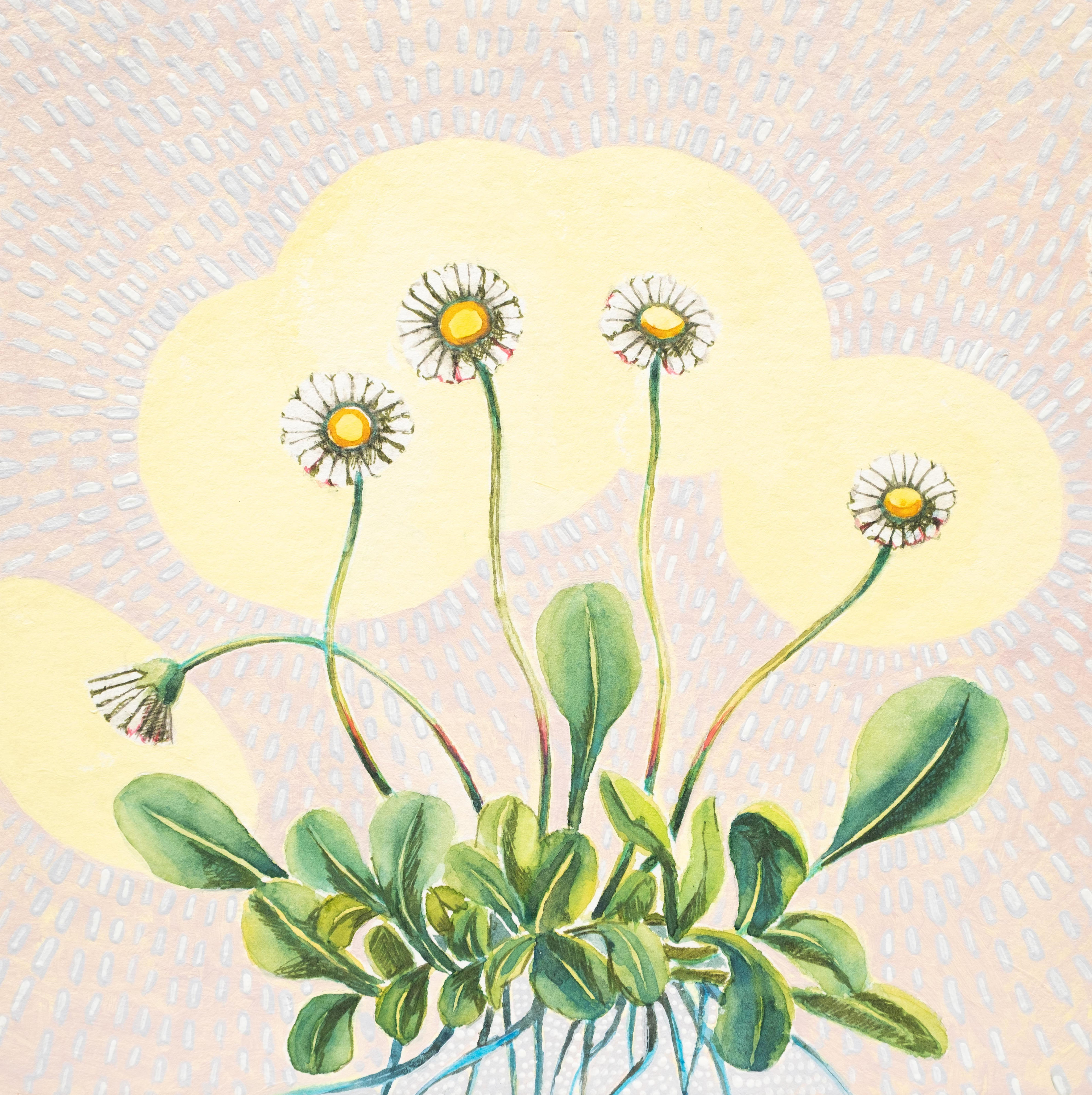 Hopeful Daisies (inspired by Elizabeth Blackwell)