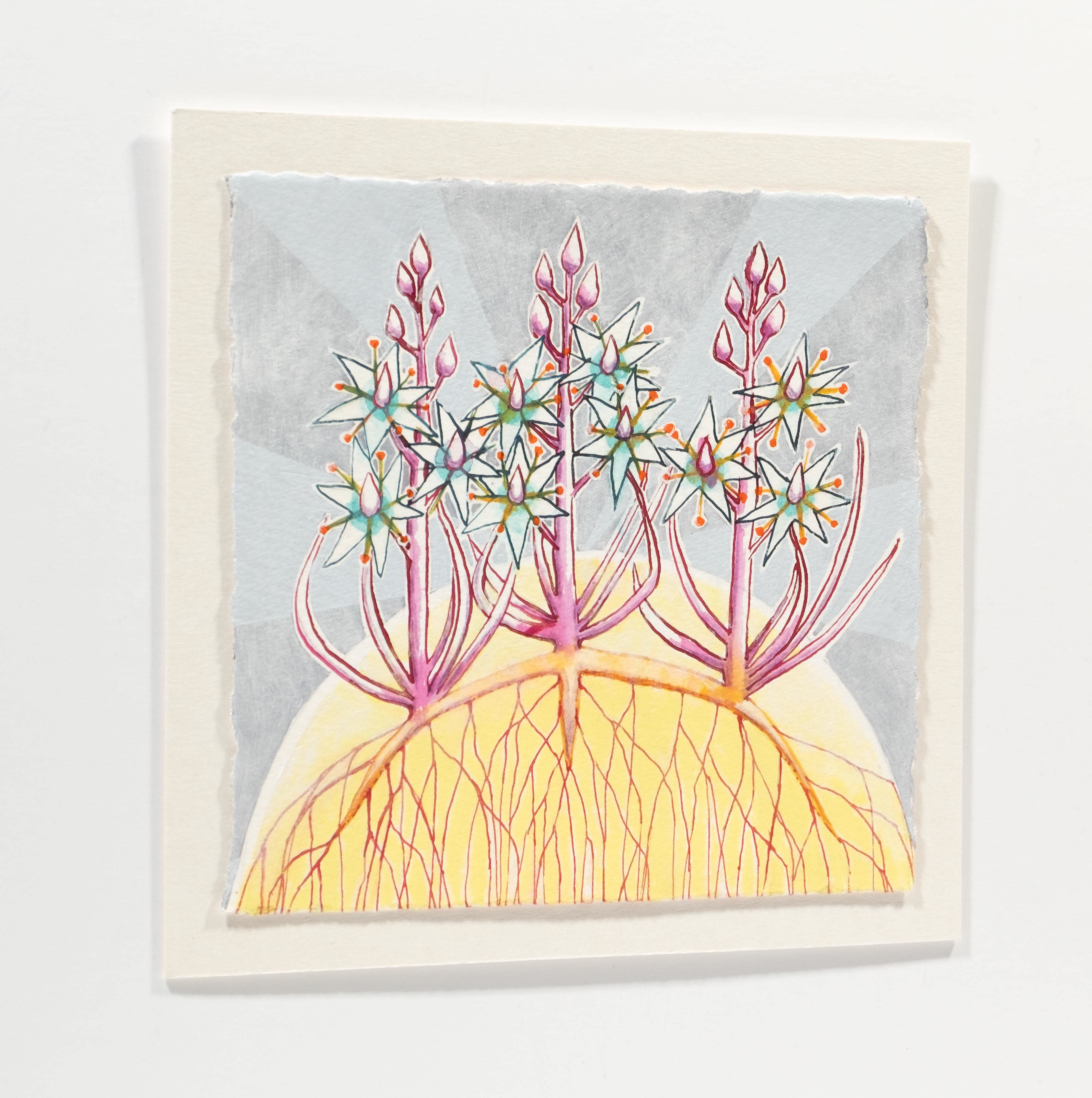 Plant Spell for Self-Love