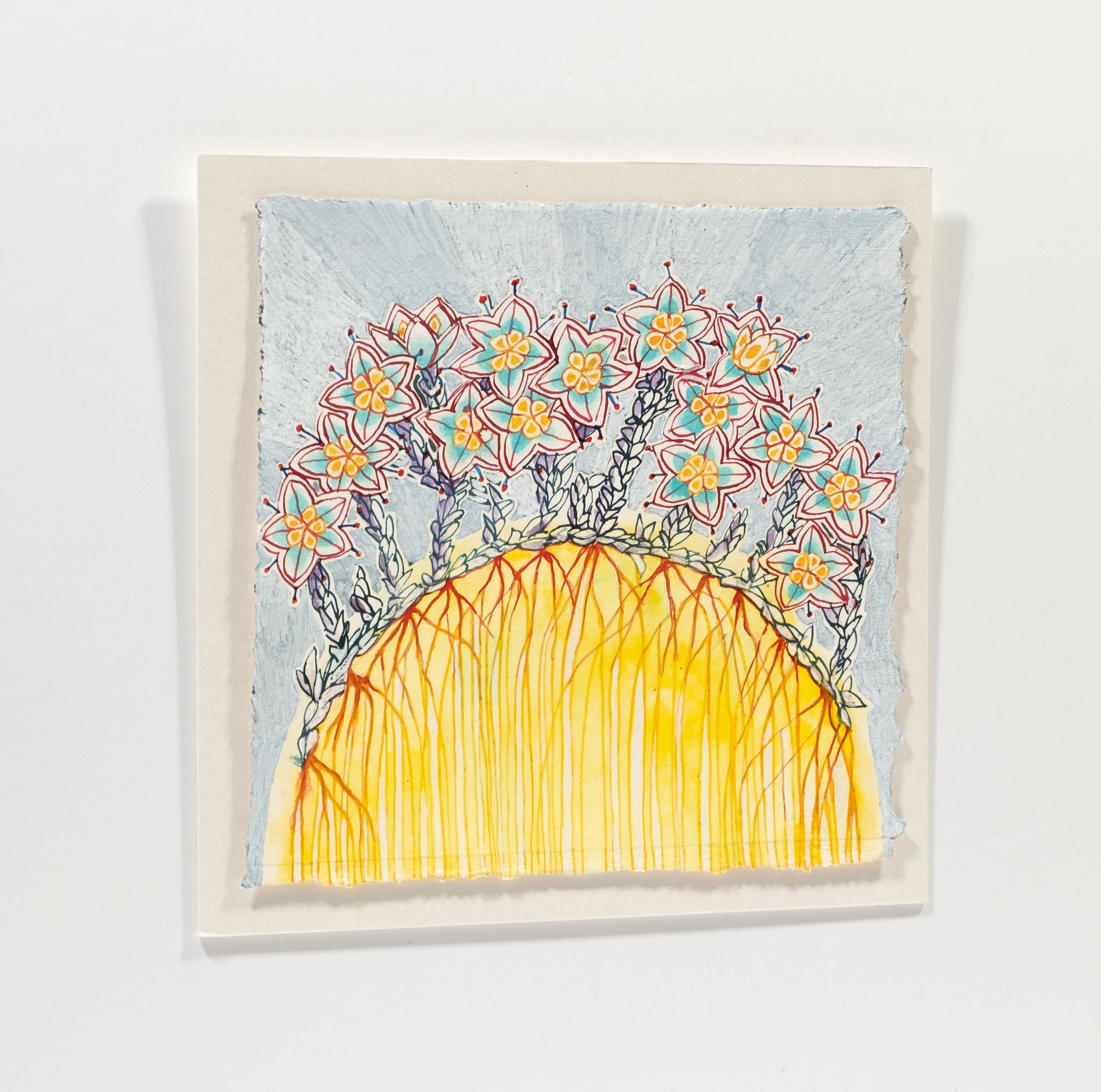 Sedum Anglicum (English Stonecrop), Ardnamurchen