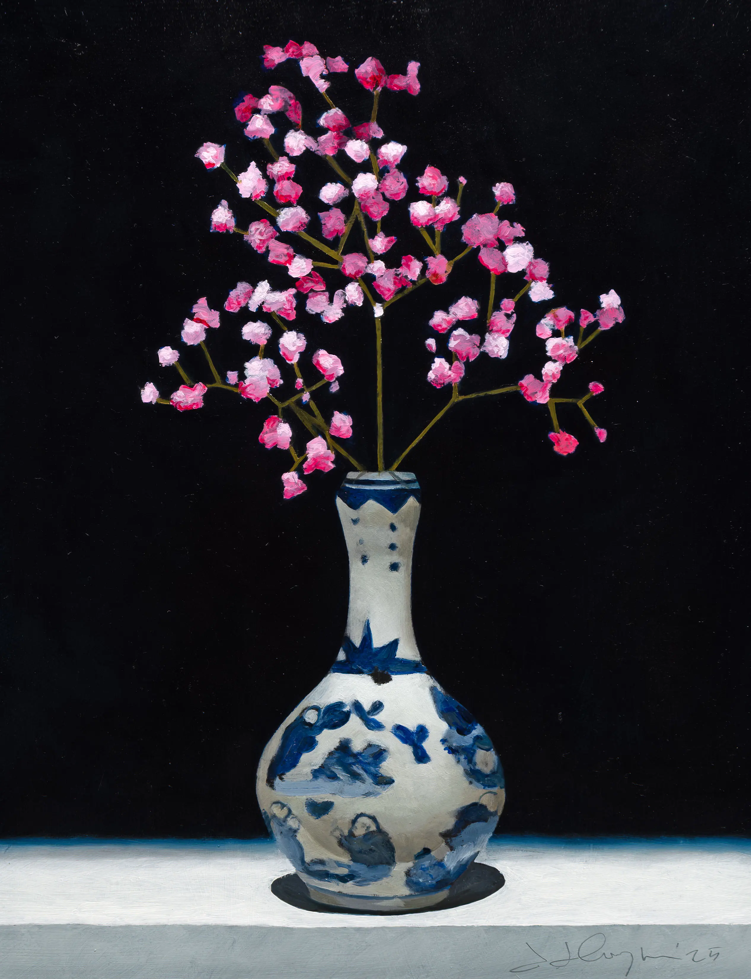 Gypsophila