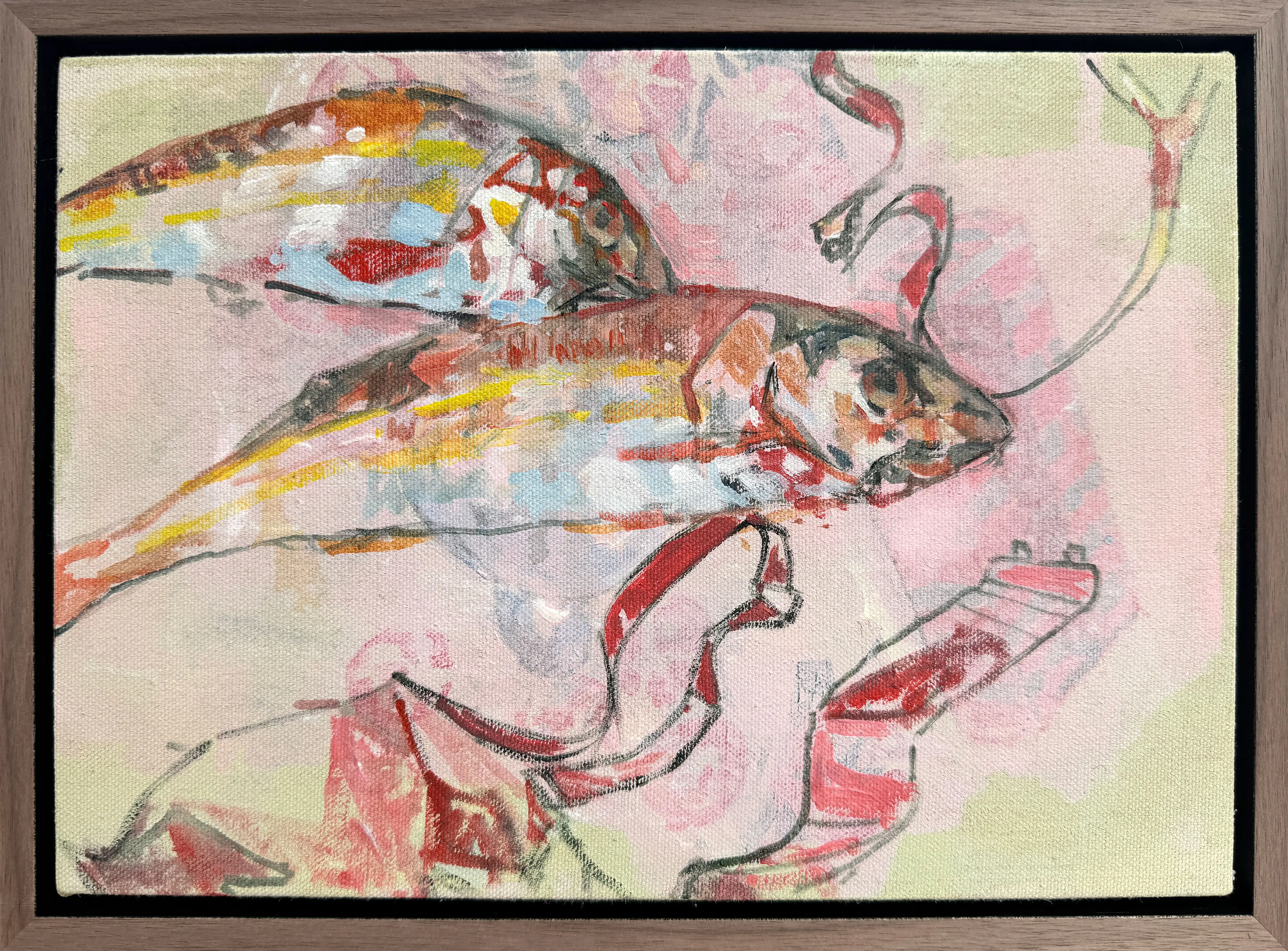 Pink Fish