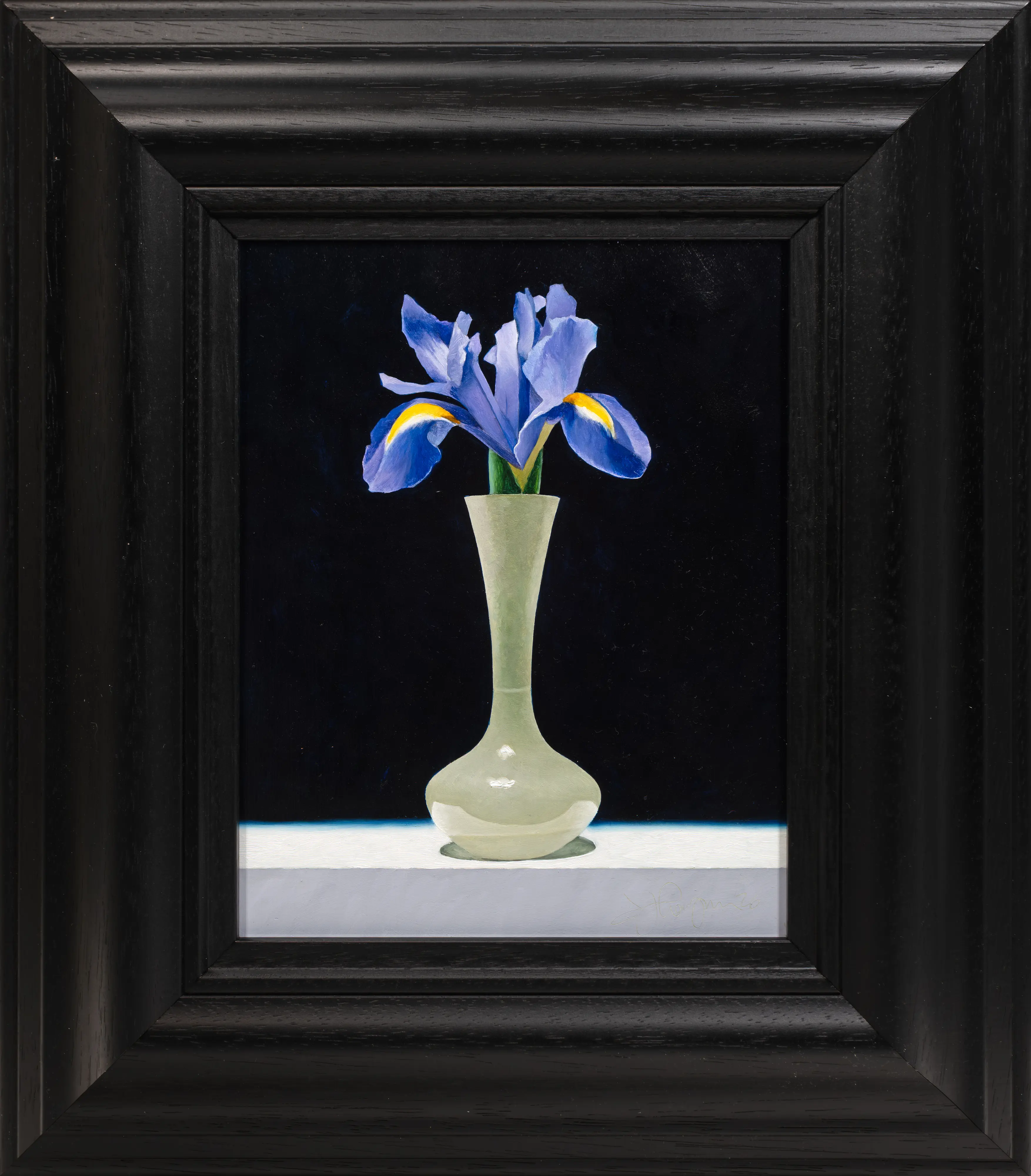 Iris