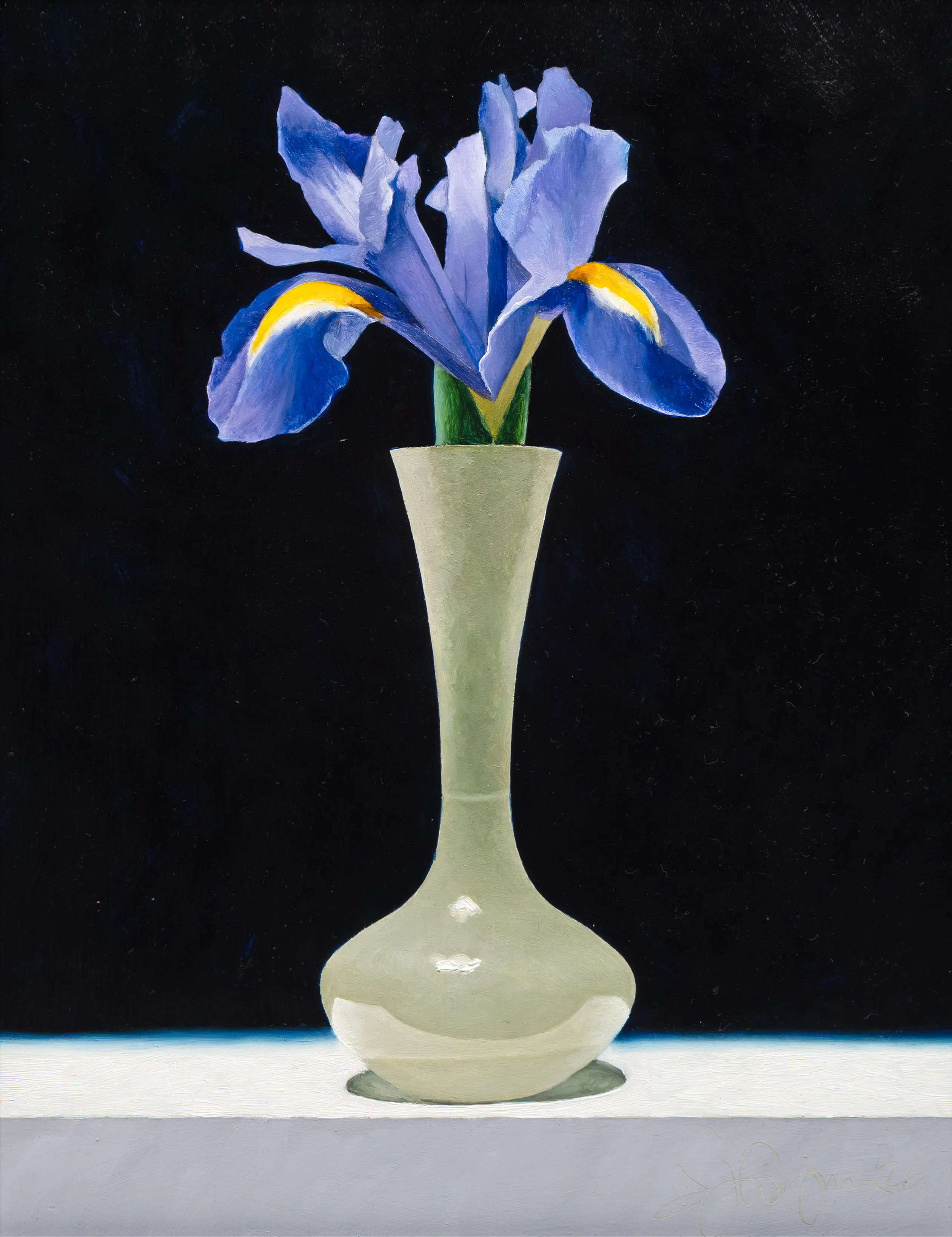 Iris