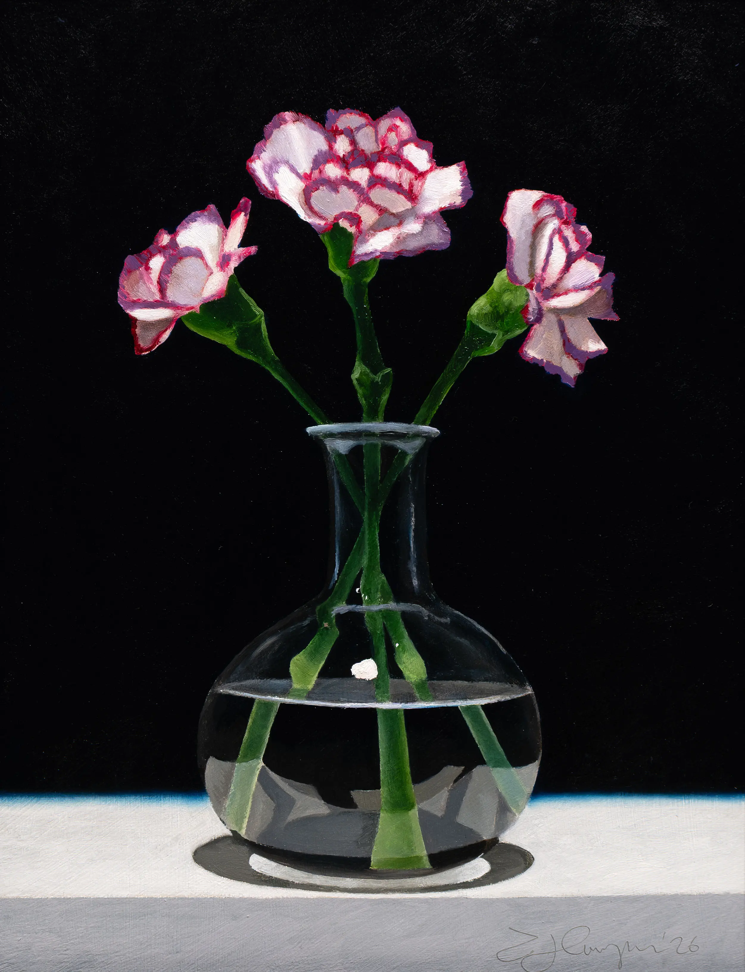Carnations