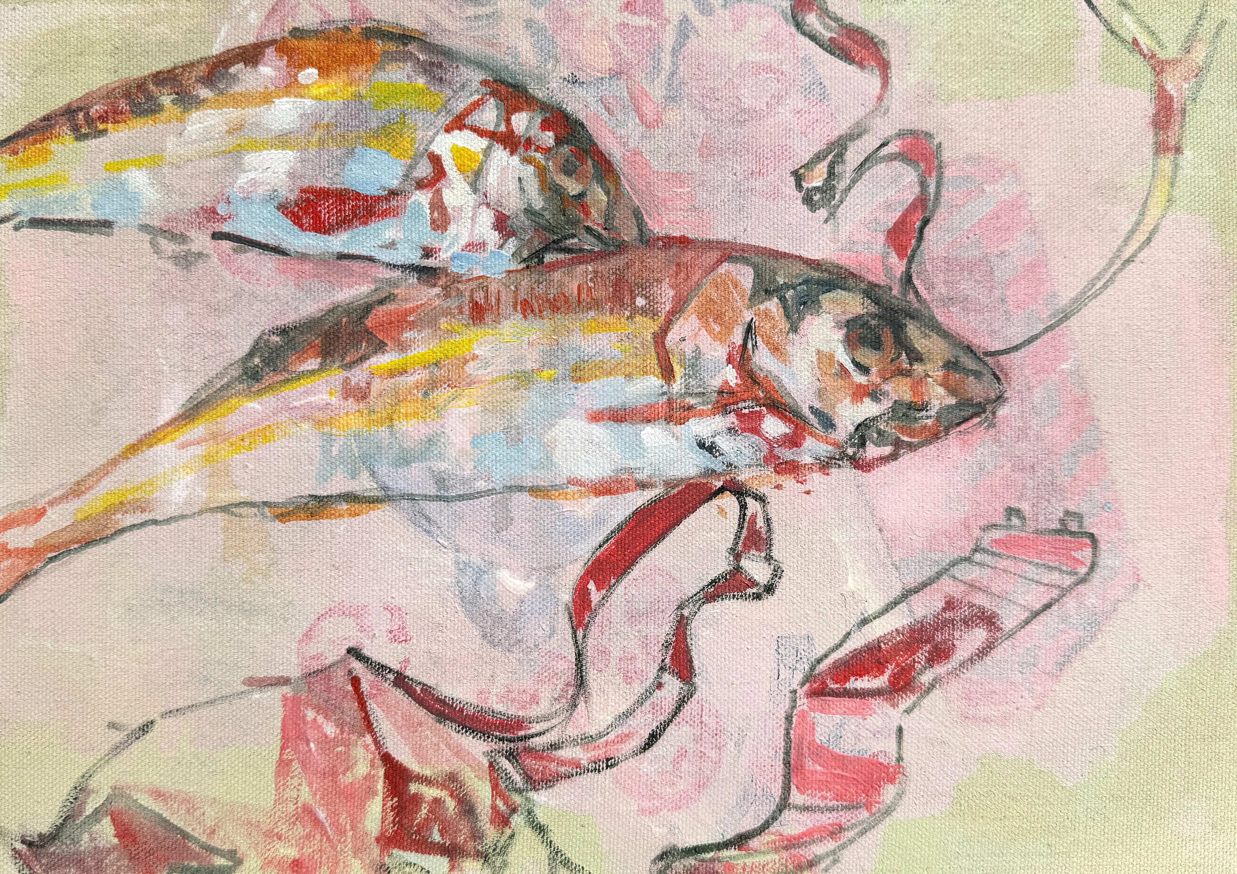 Pink Fish