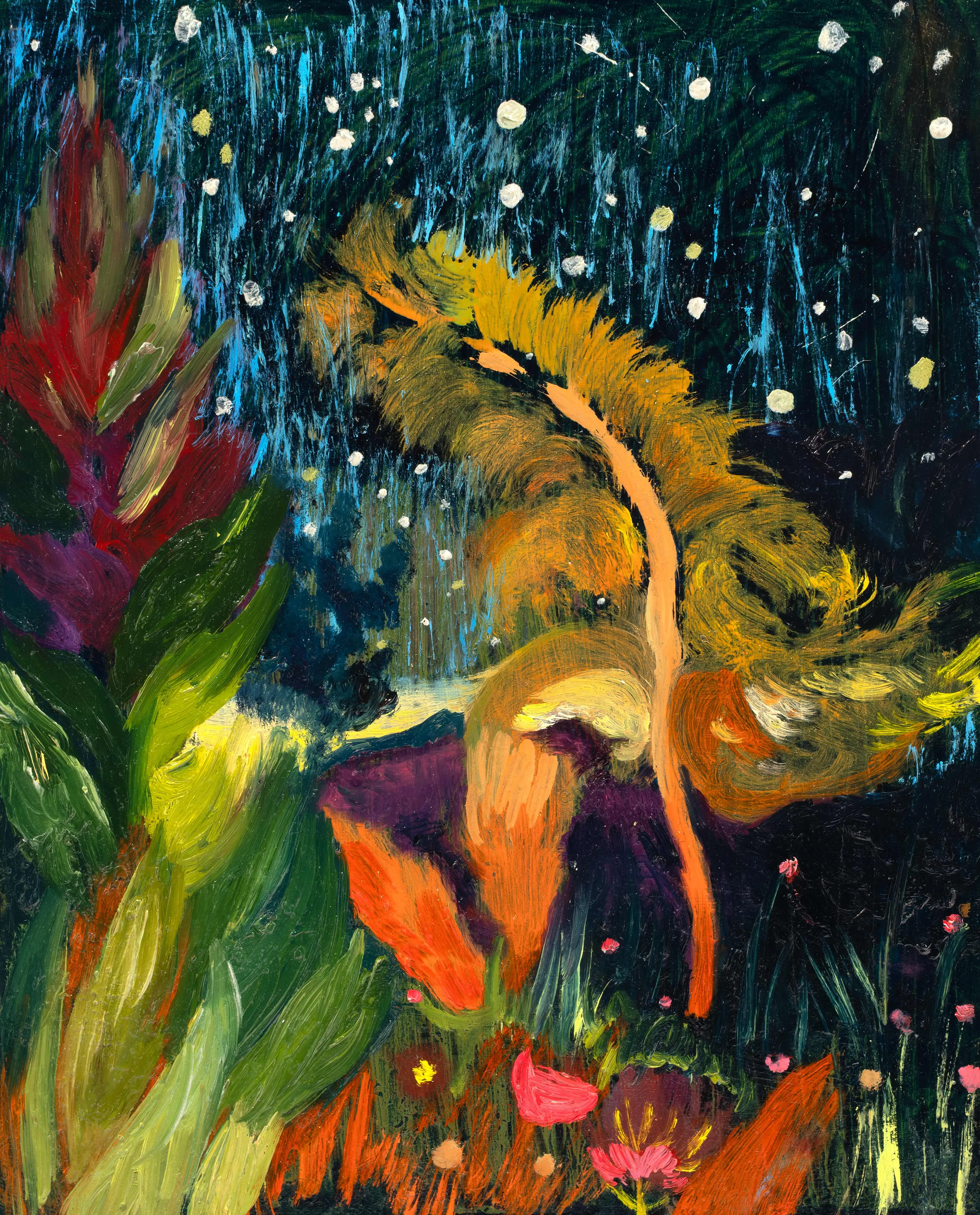 ‘Night Garden in Portugal I