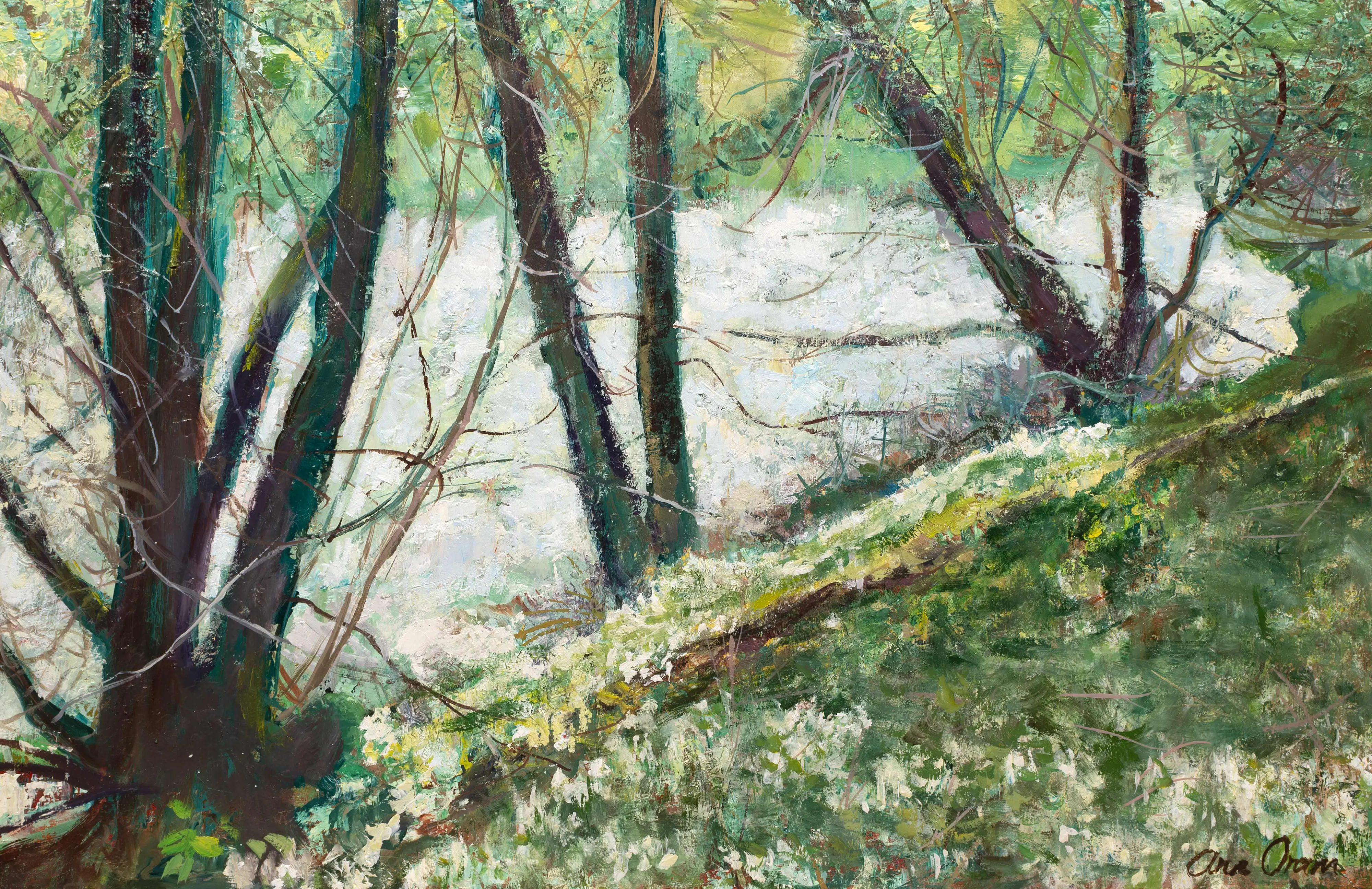 Snowdrops by the Tweed
